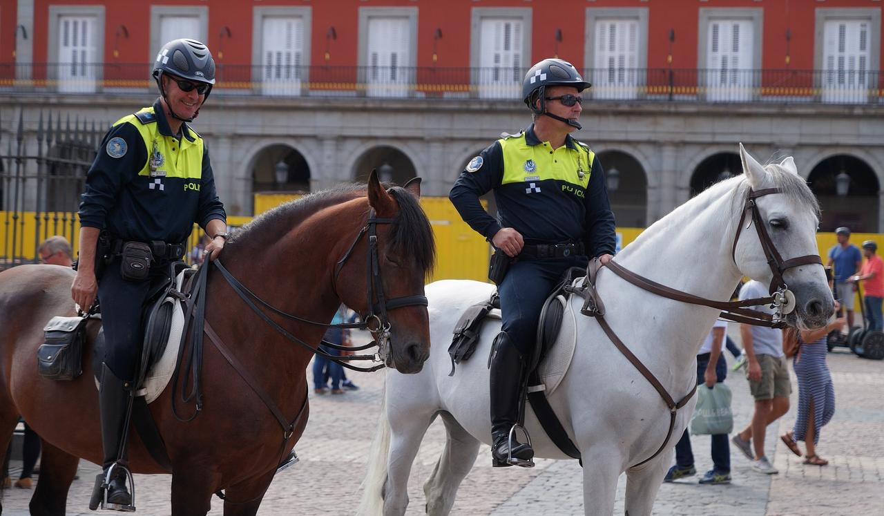 Policista na konju